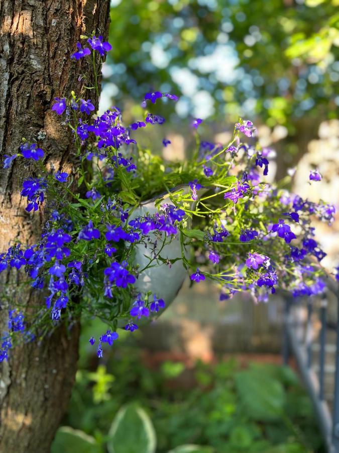 Przechowalnia Marzen- Adults Only Миколайки Экстерьер фото